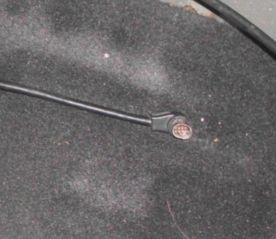 DSCI0883.JPG