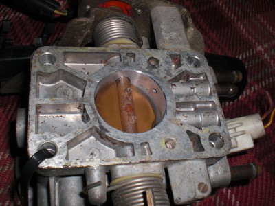 1,4 CFI 1 (kl).JPG 1,4 CFI 1 (kl).JPG