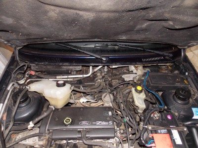 DSCN4126.JPG DSCN4126.JPG