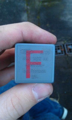 IMAG0164.jpg