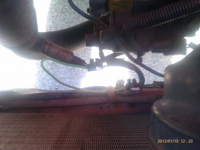IMAG0405.jpg