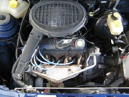 IMG_0278.jpg