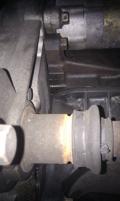 IMG_20130824_160110.jpg