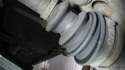 IMG_4184.jpg