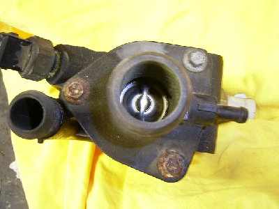 RIMG0328.JPG