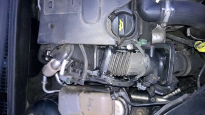 WP_20160216_07_40_01_Pro.jpg WP_20160216_07_40_01_Pro.jpg
