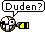 Duden?